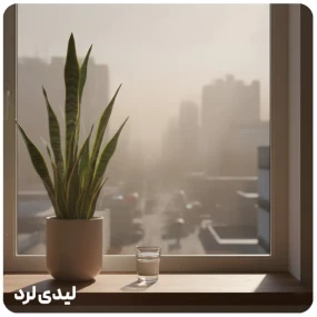 محافظت از ریه کودکان در برابر آلودگی هوای ۱۴۰۴؛ تغذیه و راهکارهای خانگی