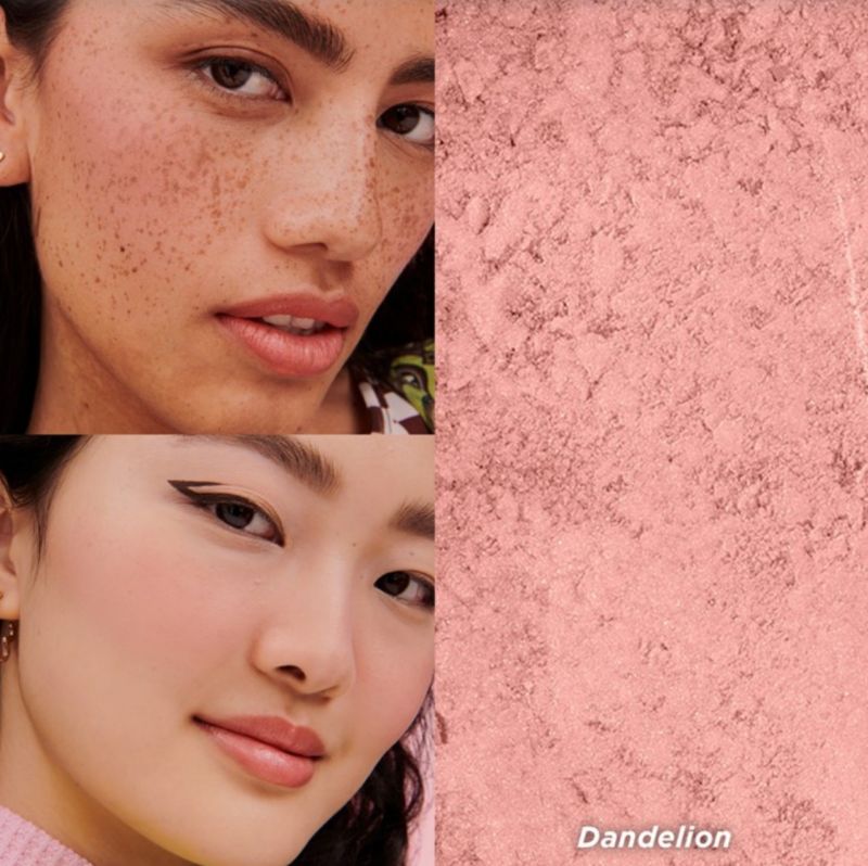 برای بزرگنمایی تصویر دوبار کلیک نمایید رژ گونه بنفیت مدل دندلیون دلوکس Benefit dandelion blush