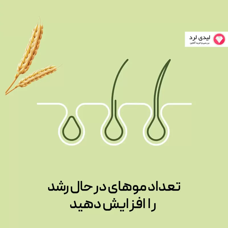 برای بزرگنمایی تصویر دوبار کلیک نمایید کپسول پریورین بایر آلمانی بسته 120 عددی