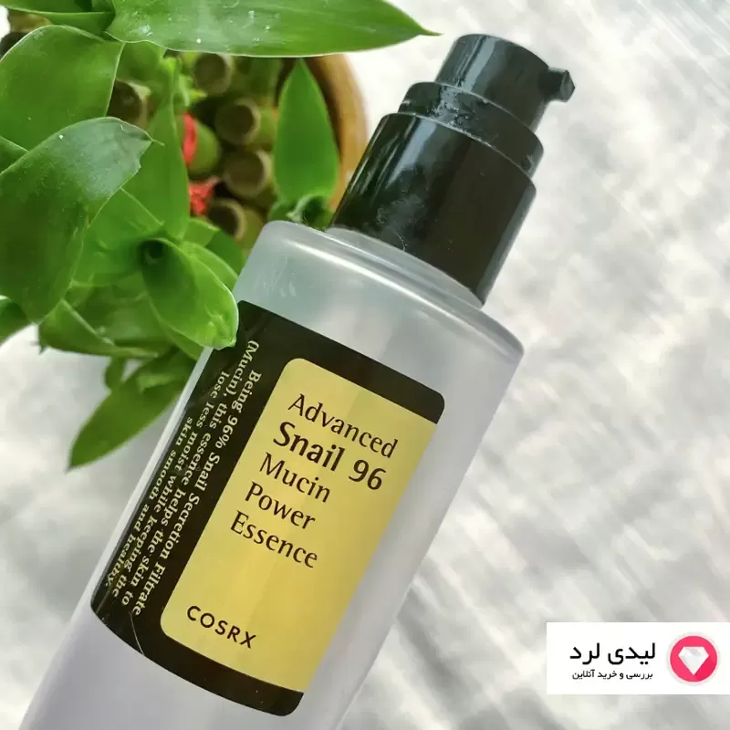 برای بزرگنمایی تصویر دوبار کلیک نمایید اسنس حلزون کوزارکس