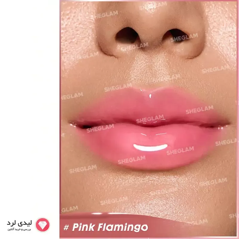لیپ گلاس حجم دهنده شیگلم مدل Booster shine رنگ Pink Flamingo