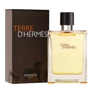 Hermes Terre DHermes Eau De Toilette For Men 100ml