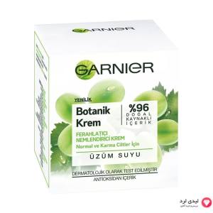 Garnier uzum suyu Botanik krem