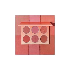 پالت رژگونه 6 رنگ شیگلم رنگ FLORAL FLUSH