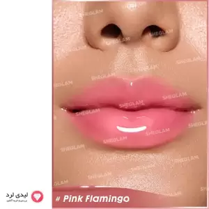 لیپ گلاس حجم دهنده شیگلم مدل Booster shine رنگ Pink Flamingo