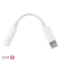 Apple Lightning to 3.5 mm Headphone Jack Adapter