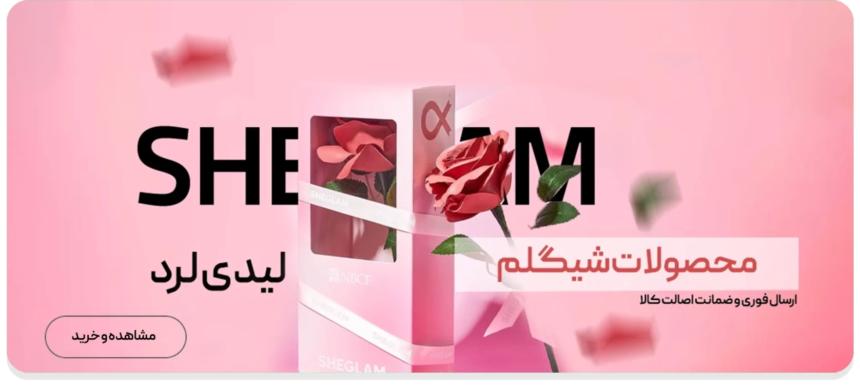 شیگلم