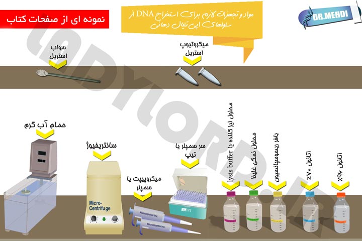 بیولوژی بیوتکنولوژی میکروبیولوژی علوم آزمایشگاهی